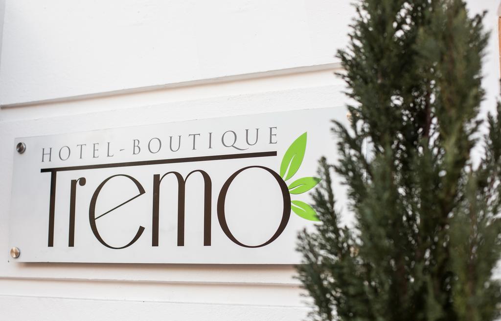 Hotel Boutique Tremo Bustamante サンティアゴ エクステリア 写真